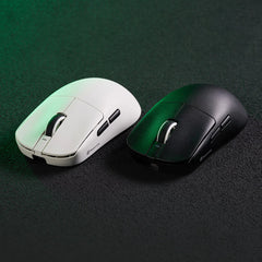VXE Dragonfly R1 Series Wireless Mouse